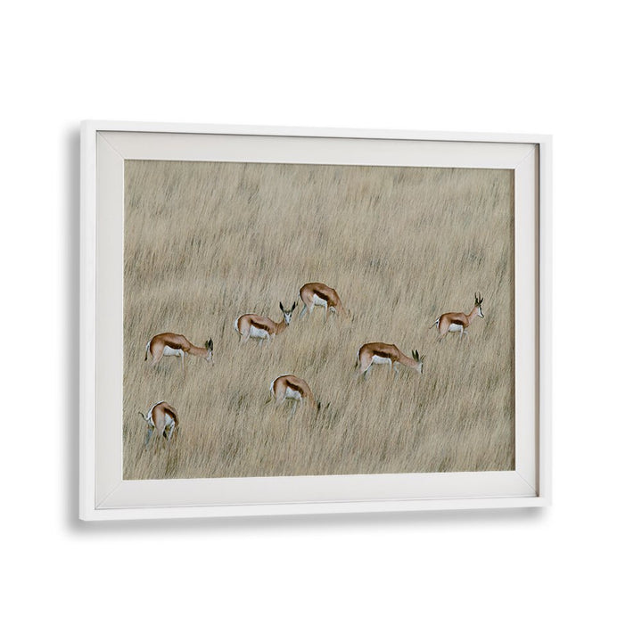 Wildlife gracefully roams through tall grass in WE ARE SPOTTED, PHOTOGRAPHY PRINTS collection, capturing nature's beauty.
