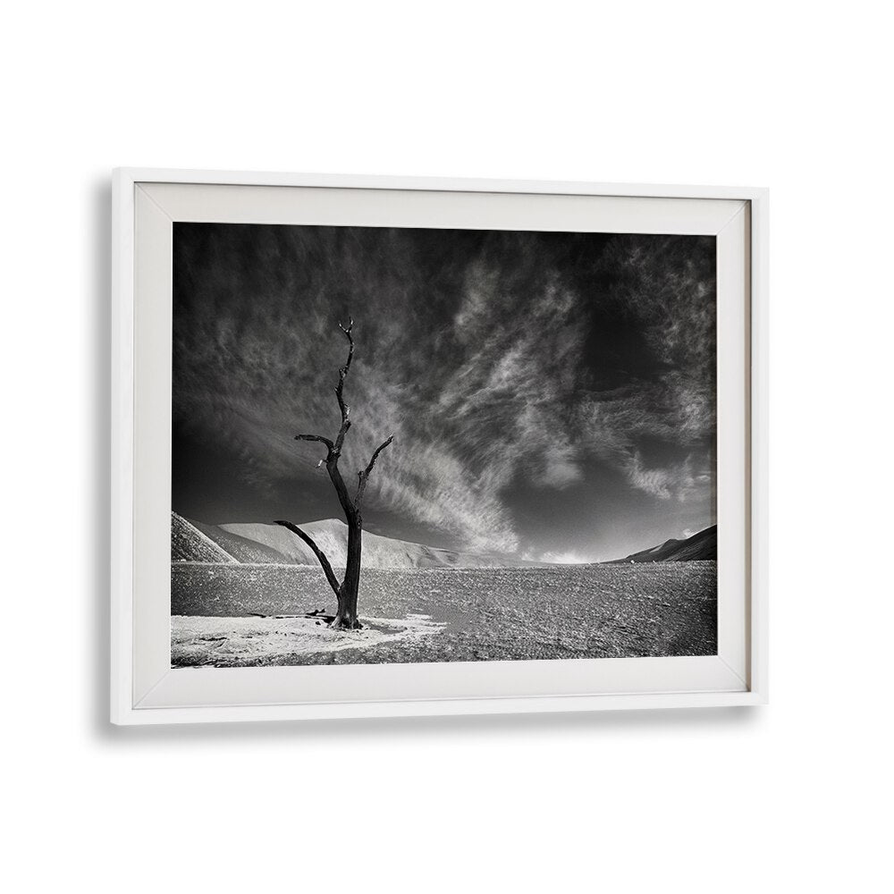 Stunning ALONE I, PHOTOGRAPHY PRINTS featuring a solitary tree against dramatic skies, perfect for nature lovers.