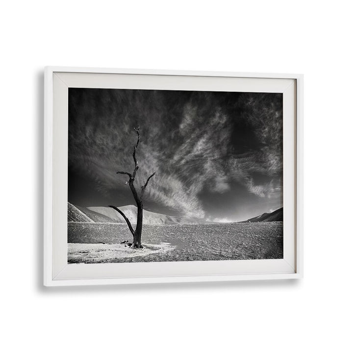 Stunning ALONE I, PHOTOGRAPHY PRINTS featuring a solitary tree against dramatic skies, perfect for nature lovers.