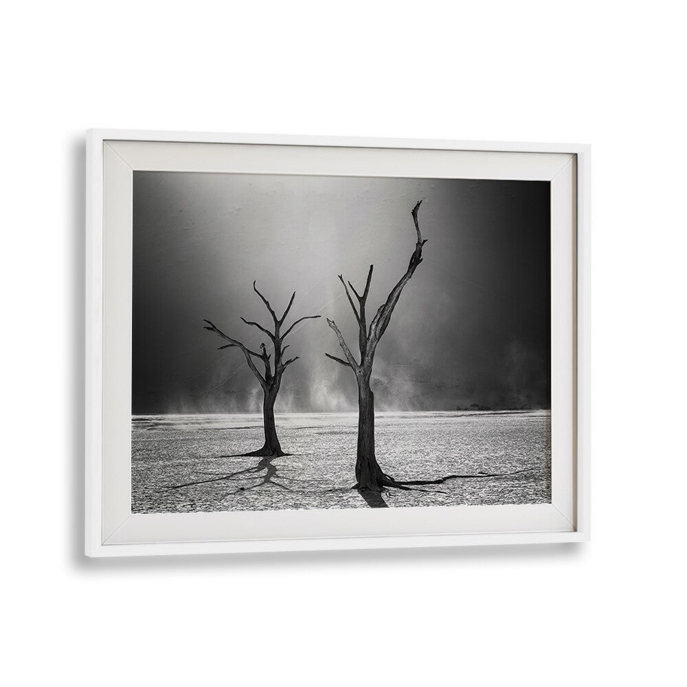 Haunting black and white landscape featuring barren trees, perfect for AFTERLIFE, PHOTOGRAPHY PRINTS by Fegari.