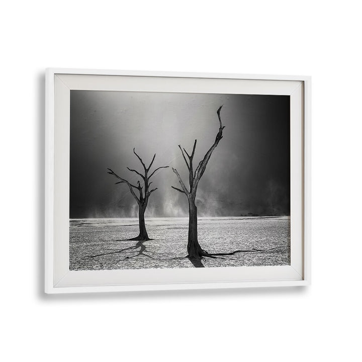 Haunting black and white landscape featuring barren trees, perfect for AFTERLIFE, PHOTOGRAPHY PRINTS by Fegari.