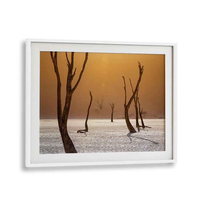Stunning ASCENSIONA, PHOTOGRAPHY PRINTS capture twisted trees in a surreal landscape, perfect for nature lovers.