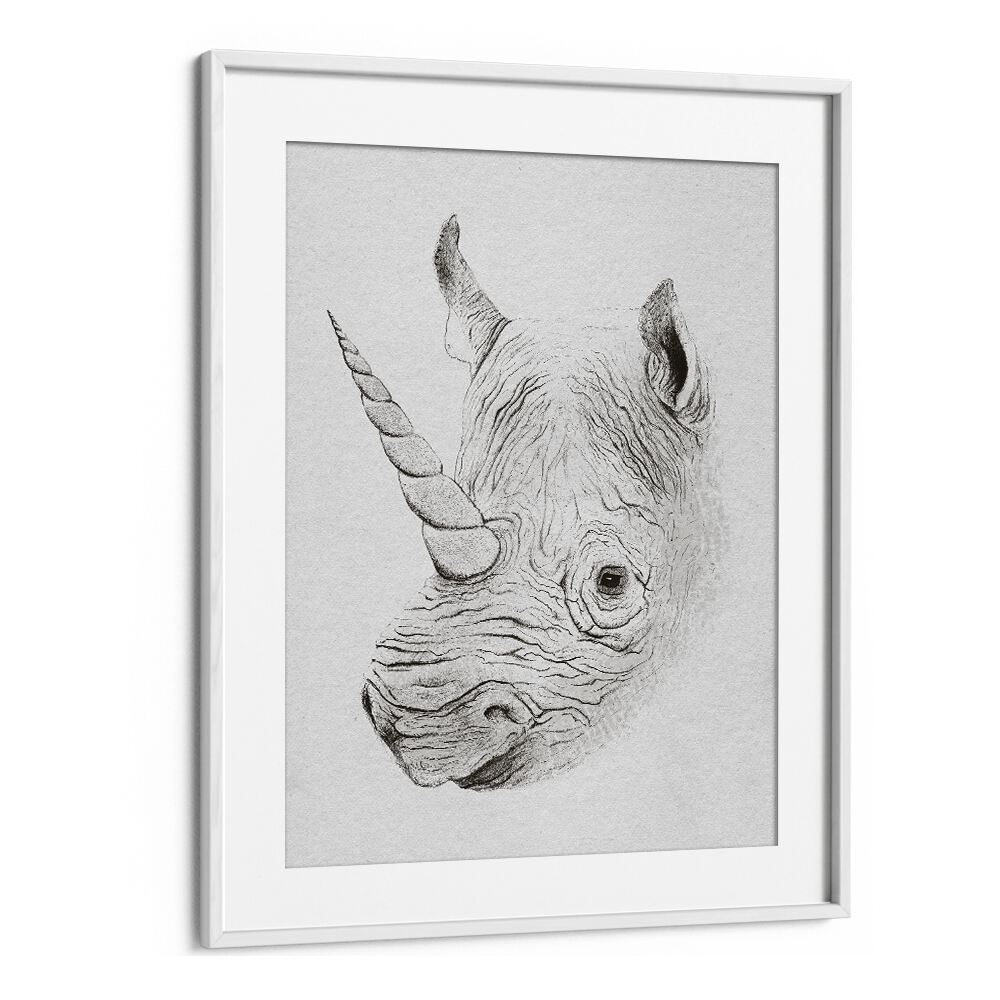 RHINOPLASTY BY FLORENT BODART, WILDLIFE ART PRINTS