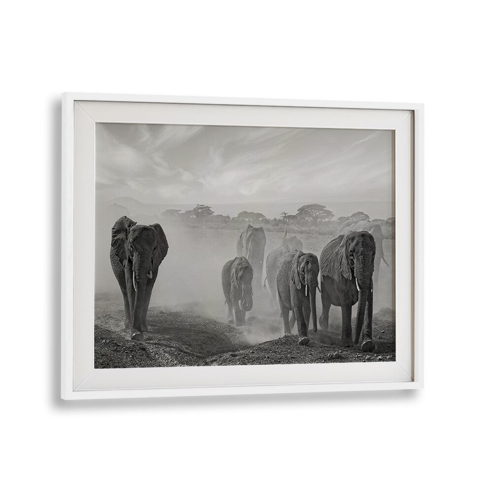 Stunning SEQUENCE OF EMOTION, PHOTOGRAPHY PRINTS featuring majestic elephants in a serene, dust-filled landscape.