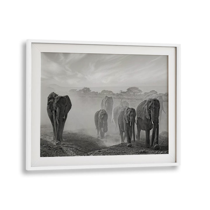 Stunning SEQUENCE OF EMOTION, PHOTOGRAPHY PRINTS featuring majestic elephants in a serene, dust-filled landscape.