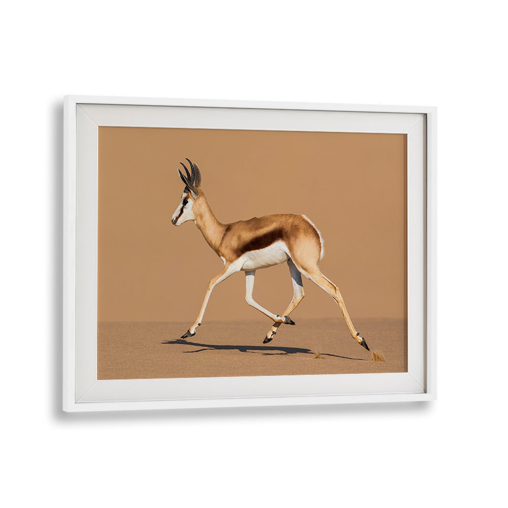Springbok leaps gracefully across the desert sand in "RIDE THE DUNE, PHOTOGRAPHY PRINTS" by Fegari.