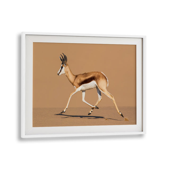 Springbok leaps gracefully across the desert sand in "RIDE THE DUNE, PHOTOGRAPHY PRINTS" by Fegari.