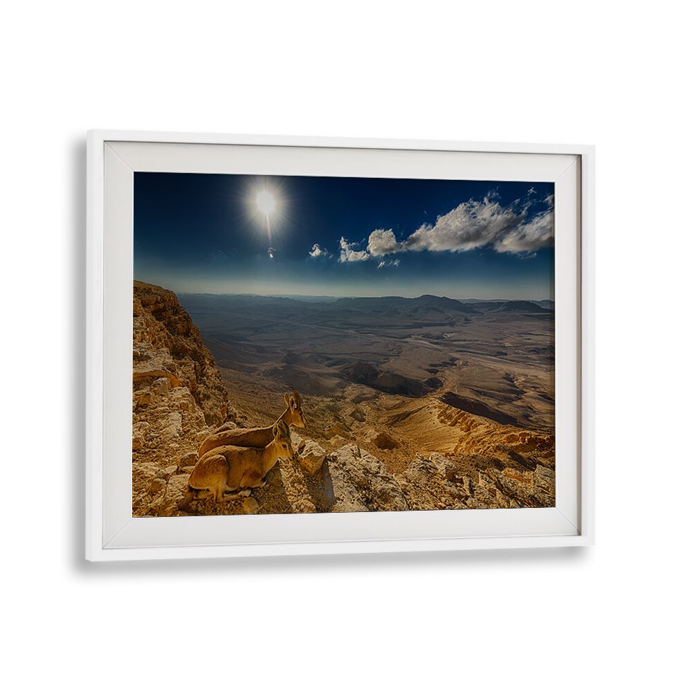 Serene landscape featuring wildlife in "Morning View, Photography Prints" for a tranquil home decor experience.
