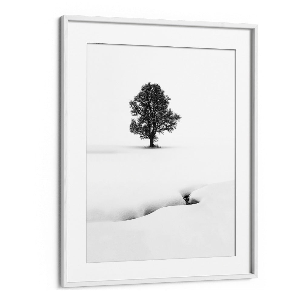 LE SOLITAIRE BY MARC PELISSIER , LANDSCAPE PHOTO PRINTS