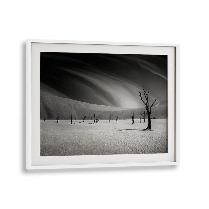 Stunning black-and-white FOLLOW ME MY FRIENDS, PHOTOGRAPHY PRINTS showcasing serene, desolate landscapes.