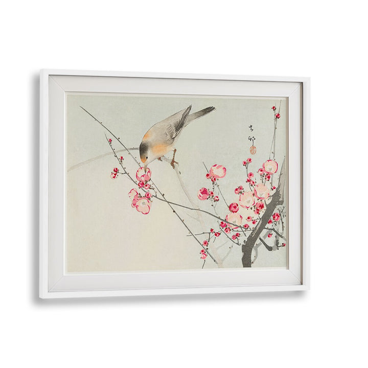 SONGBIRD ON BLOSSOM BRANCH (1900 - 1936)  , JAPANESE PAINTINGS , JAPANESE ART PRINTS