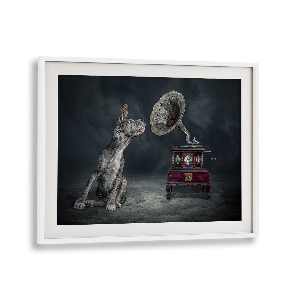 Surreal MUSIC DOG photography print featuring a dog and gramophone, perfect for art lovers. Explore unique creativity!