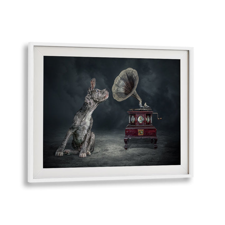 Surreal MUSIC DOG photography print featuring a dog and gramophone, perfect for art lovers. Explore unique creativity!