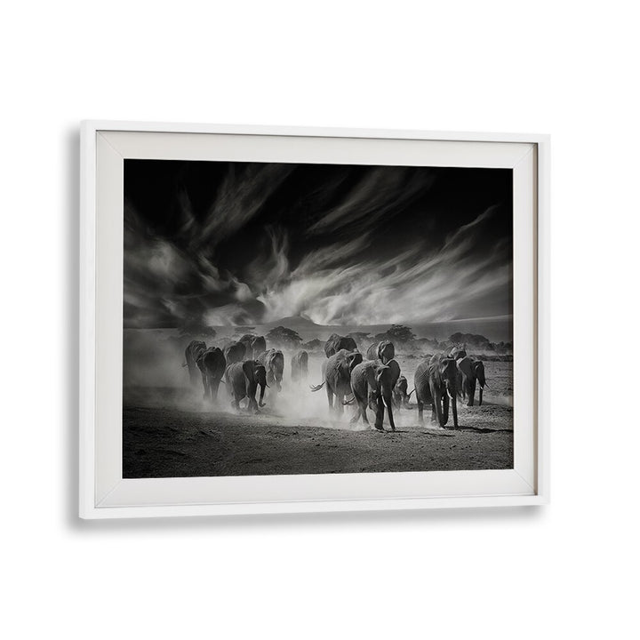 Stunning "THE SKY, PHOTOGRAPHY PRINTS" featuring elephants amidst dramatic clouds, perfect for nature lovers.