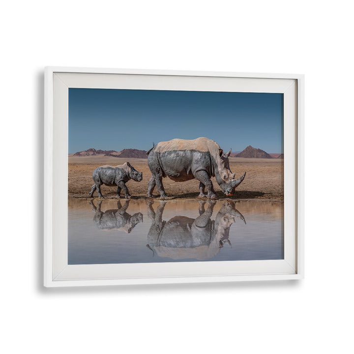 Magnificent RHINOS WALK, PHOTOGRAPHY PRINTS showcasing a mother and calf rhino reflected in serene water. Perfect for nature lovers.