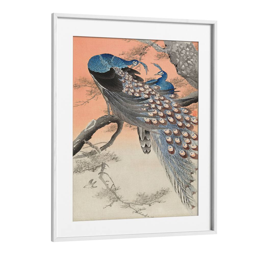 TWO PEACOCKS ON TREE BRANCH (1900 - 1930) , JAPANESE PAINTINGS , JAPANESE ART PRINTS