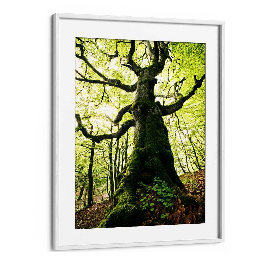 ENT BY STEFAN HEFELE , LANDSCAPE PHOTO PRINTS