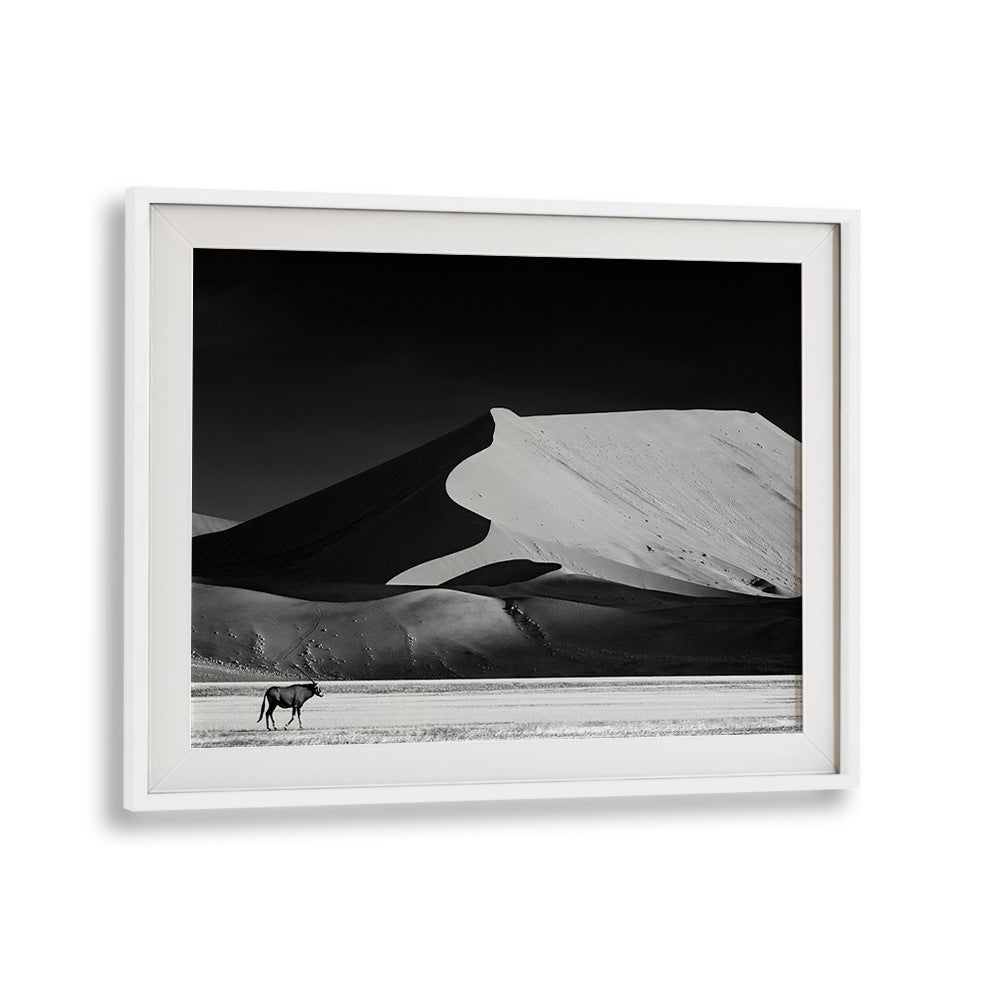 Stunning black and white landscape depicting nature's beauty in THE SOLITARY, PHOTOGRAPHY PRINTS collection.