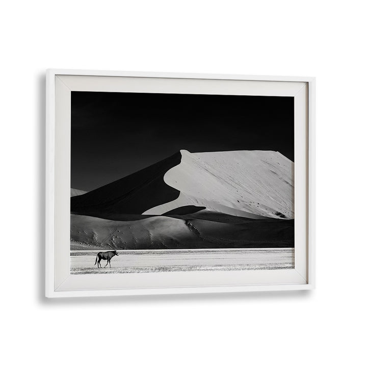 Stunning black and white landscape depicting nature's beauty in THE SOLITARY, PHOTOGRAPHY PRINTS collection.
