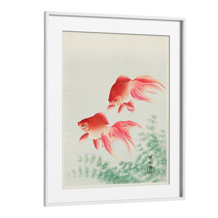 TWO VEIL GOLDFISH (1926)  , JAPANESE PAINTINGS , JAPANESE ART PRINTS