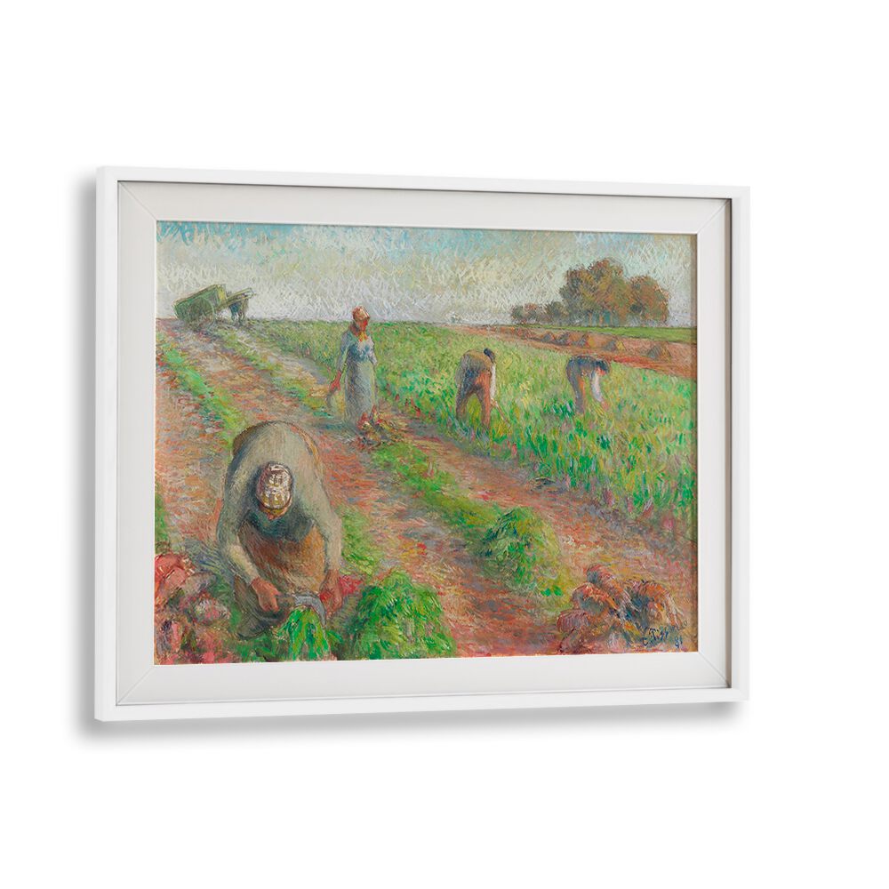 THE BEET HARVEST (1881)  , VINTAGE PAINTINGS