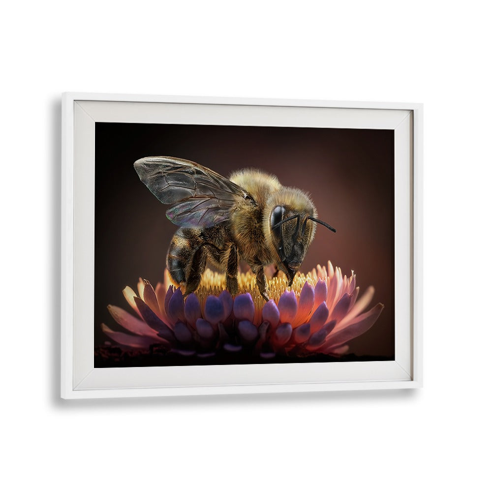 Stunning HONEY BEE, PHOTOGRAPHY PRINTS capture the beauty of nature, showcasing bees on vibrant flowers.