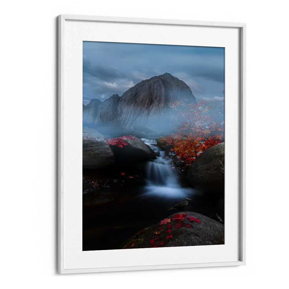 FOG HILL , LANDSCAPE PHOTO PRINTS , LANDSCAPE PHOTOGRAPHY