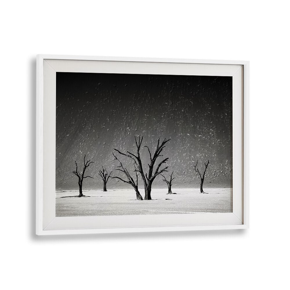 Stunning black and white landscape showcasing “Staying Up, Photography Prints” for tranquil home decor.