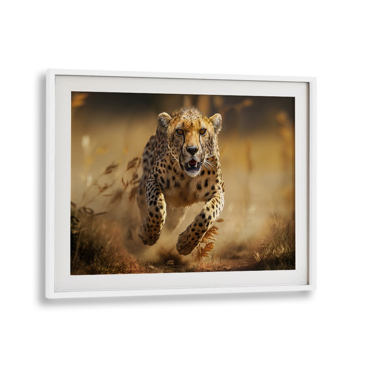 Dynamic Hunting Cheetah captured in stunning detail, perfect for wildlife lovers. Explore HUNTING CHEETHA, PHOTOGRAPHY PRINTS.