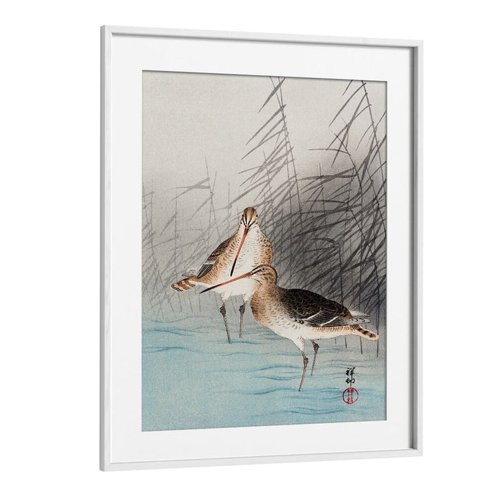 TWO BAR-TAILED GODWITS (1926)  , JAPANESE PAINTINGS , JAPANESE ART PRINTS