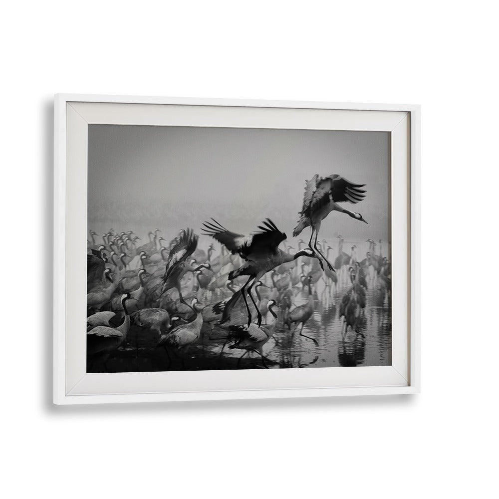 Dynamic scene of cranes captured in stunning detail, showcasing TRIO, PHOTOGRAPHY PRINTS for art enthusiasts.