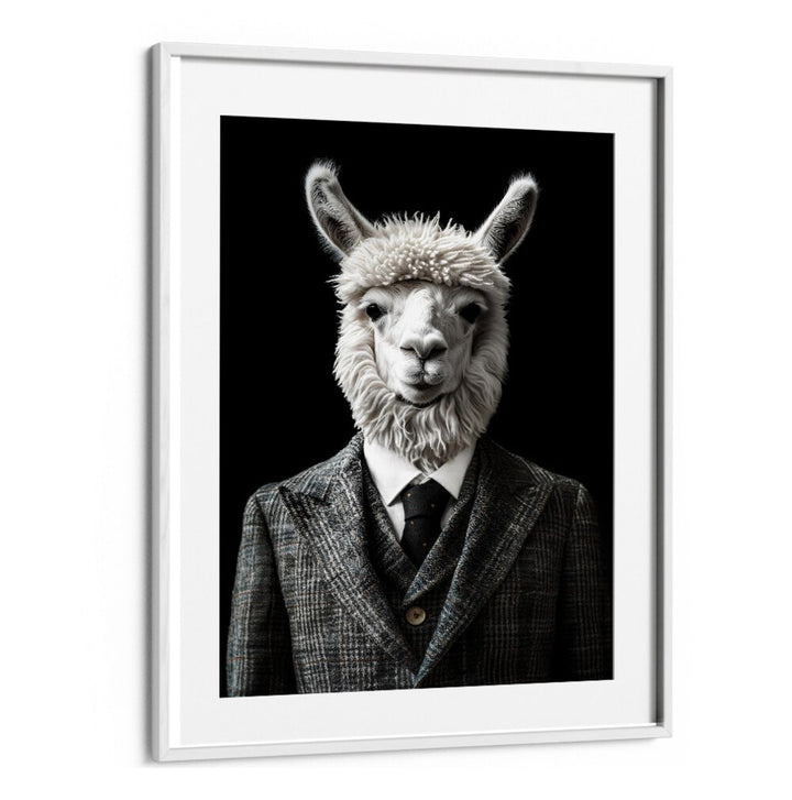 WILD SUITS - ALPACA , ANIMAL PAINTINGS
