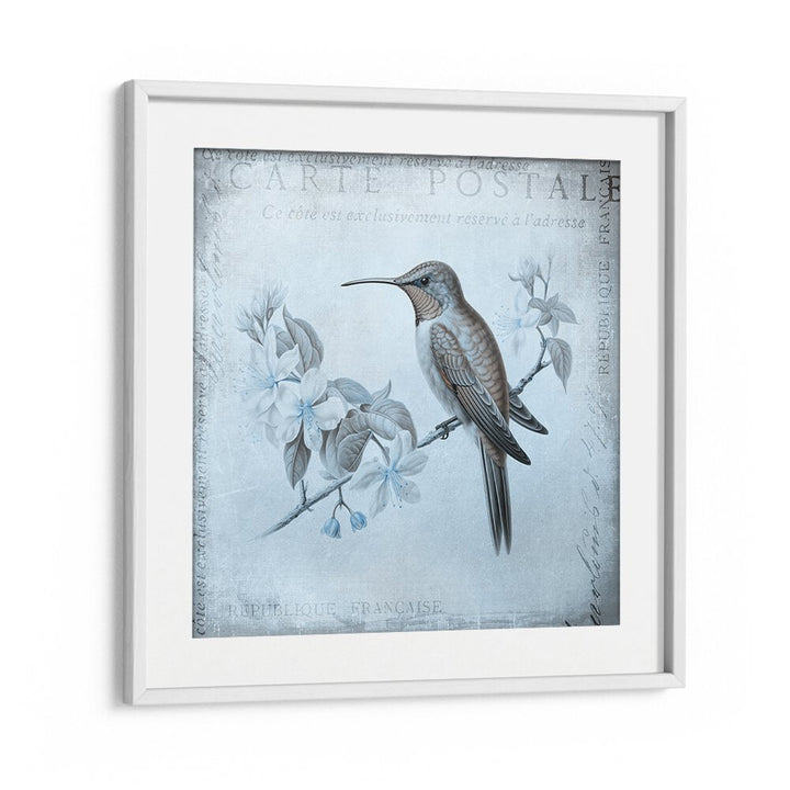 HUMMINGBIRD  ROMANCE AQUA BLUE BY ANDREA HAASE , WILDLIFE POSTERS, WILDLIFE PAINTINGS