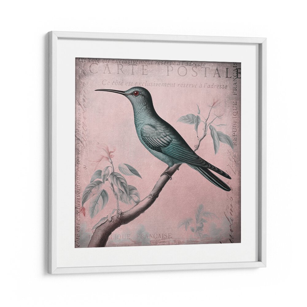 HUMMINGBIRD ROMANCE PASTEL PINK II BY ANDREA HAASE , WILDLIFE POSTERS, WILDLIFE PAINTINGS