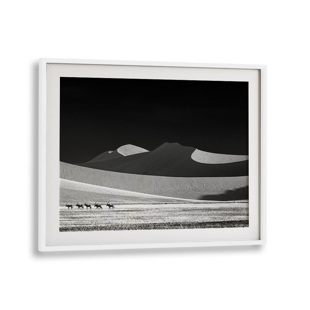 Stunning black-and-white landscape featuring wildlife, perfect for home decor: COME ON GUYS WE GO AWAY, PHOTOGRAPHY PRINTS.