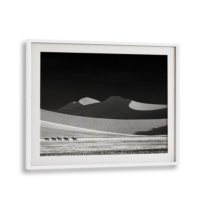 Stunning black-and-white landscape featuring wildlife, perfect for home decor: COME ON GUYS WE GO AWAY, PHOTOGRAPHY PRINTS.