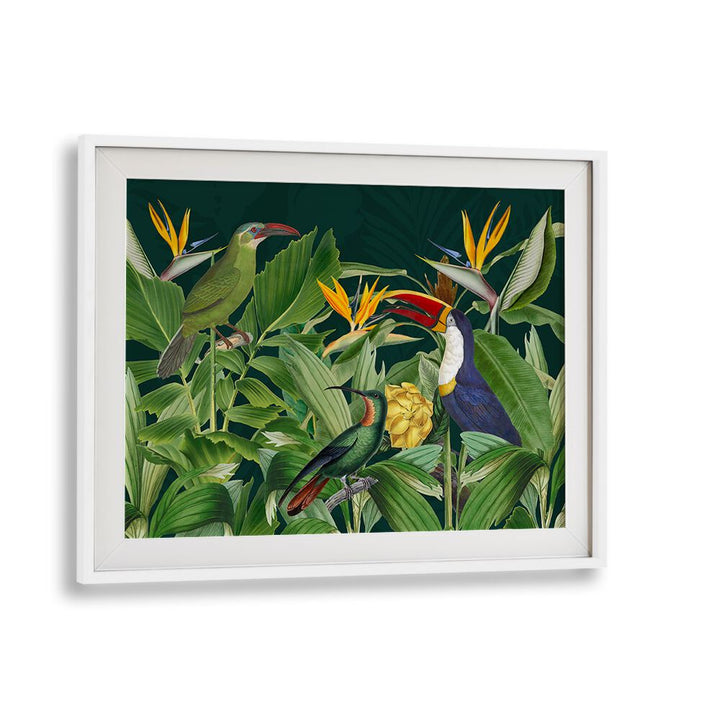 RAINFOREST BIRDS BY ANDREA HAASE , WILDLIFE POSTERS, WILDLIFE PAINTINGS