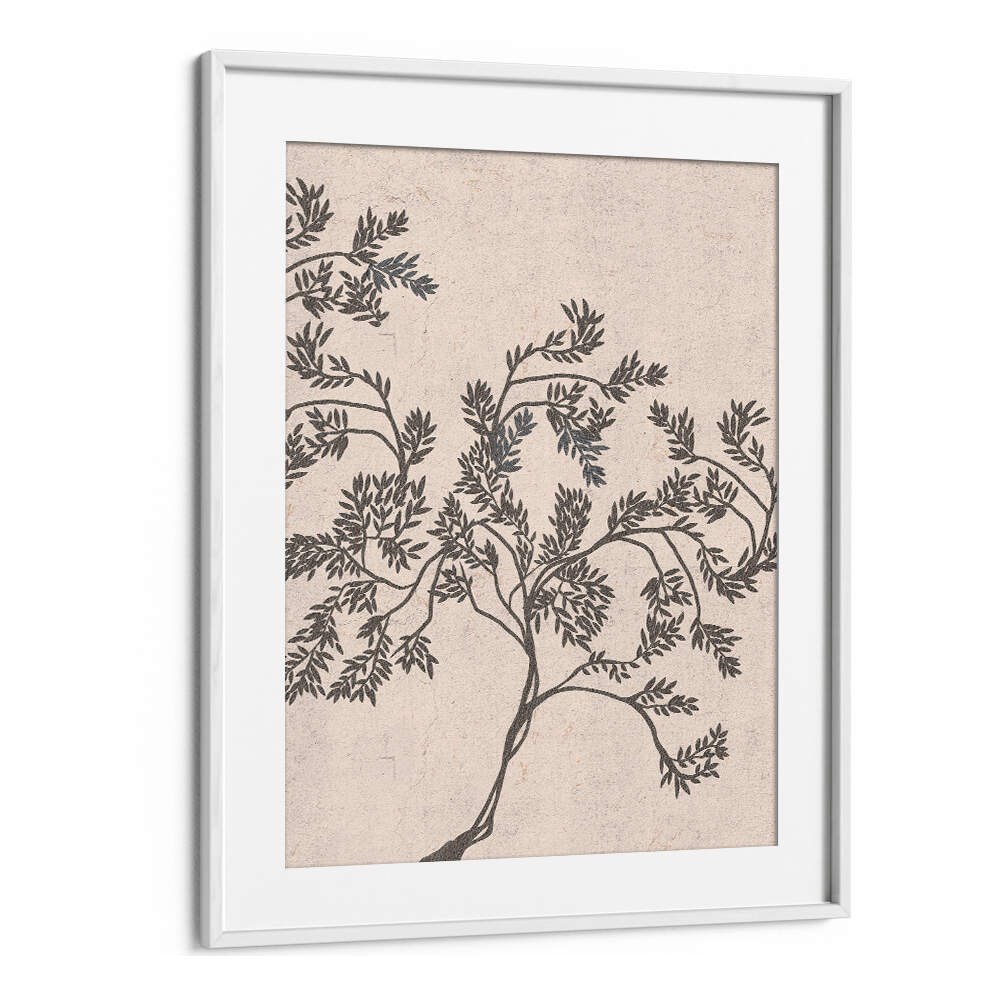 ACACIA NILOTICA , FLORAL FLOWER PAINTINGS