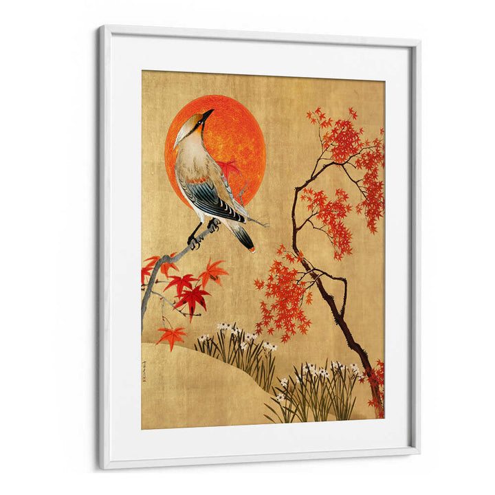 AUTOMNE JAPONAIS