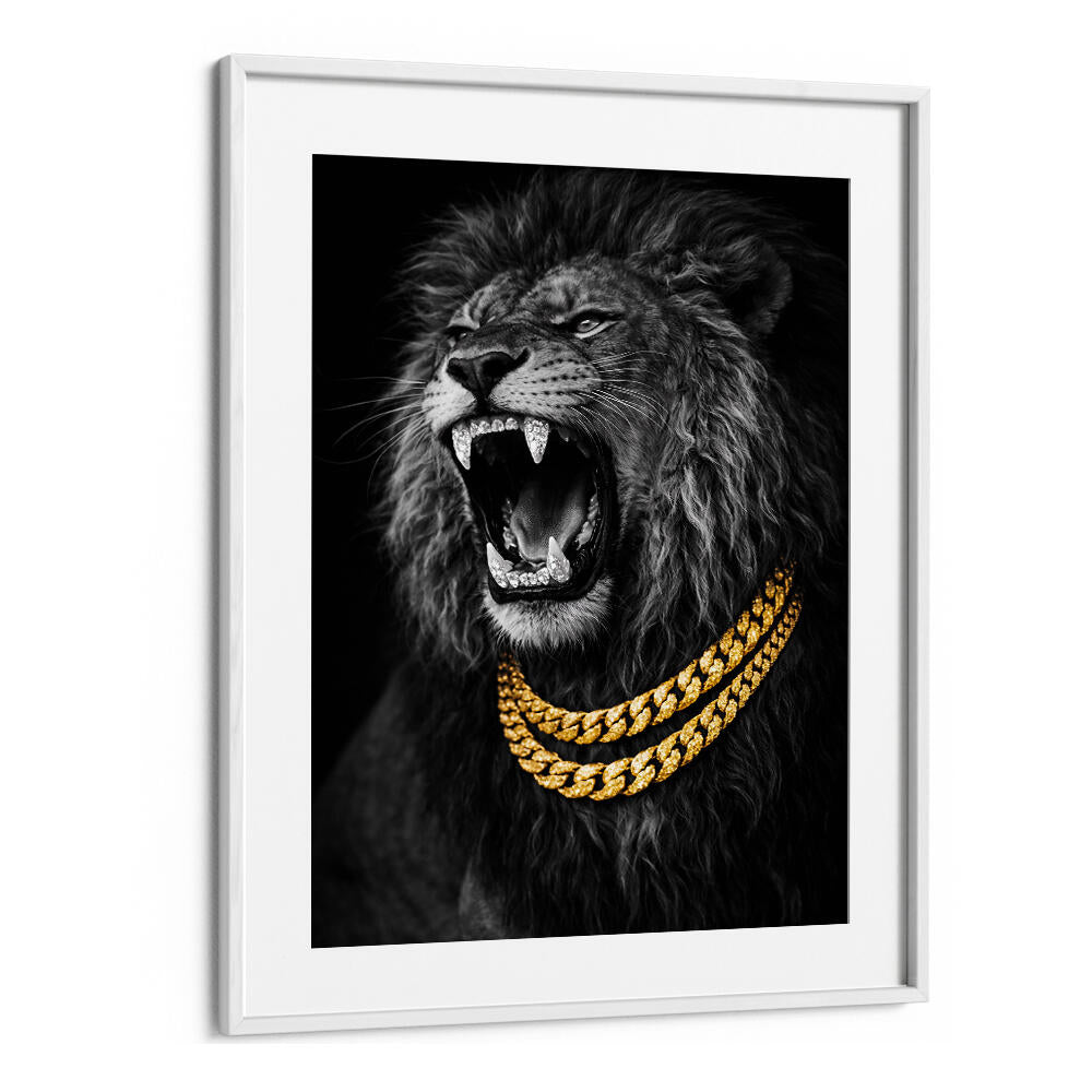 BEJWELED CONCEPT PHOTOGRAPHY
