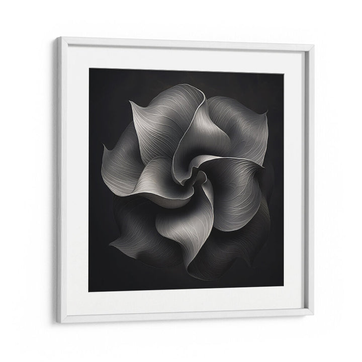 BLACK AND WHITE FLOWER V , ORGANIC FORMS