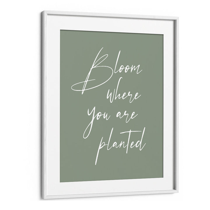 BLOOM , QUOTES & TYPOGRAPHY POSTERS