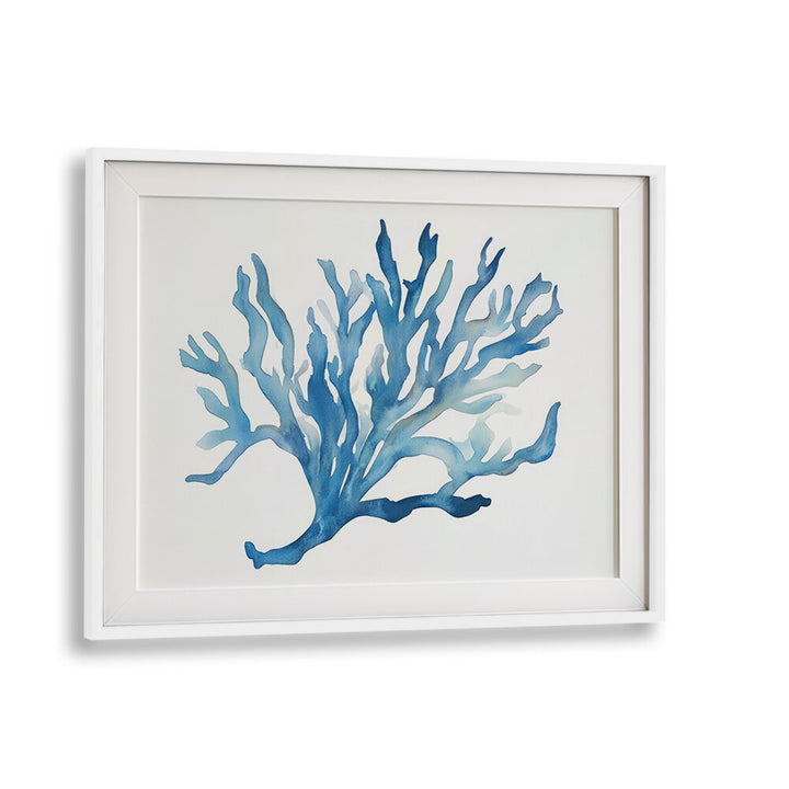 BLUE CORAL , BEACH PAINTINGS
