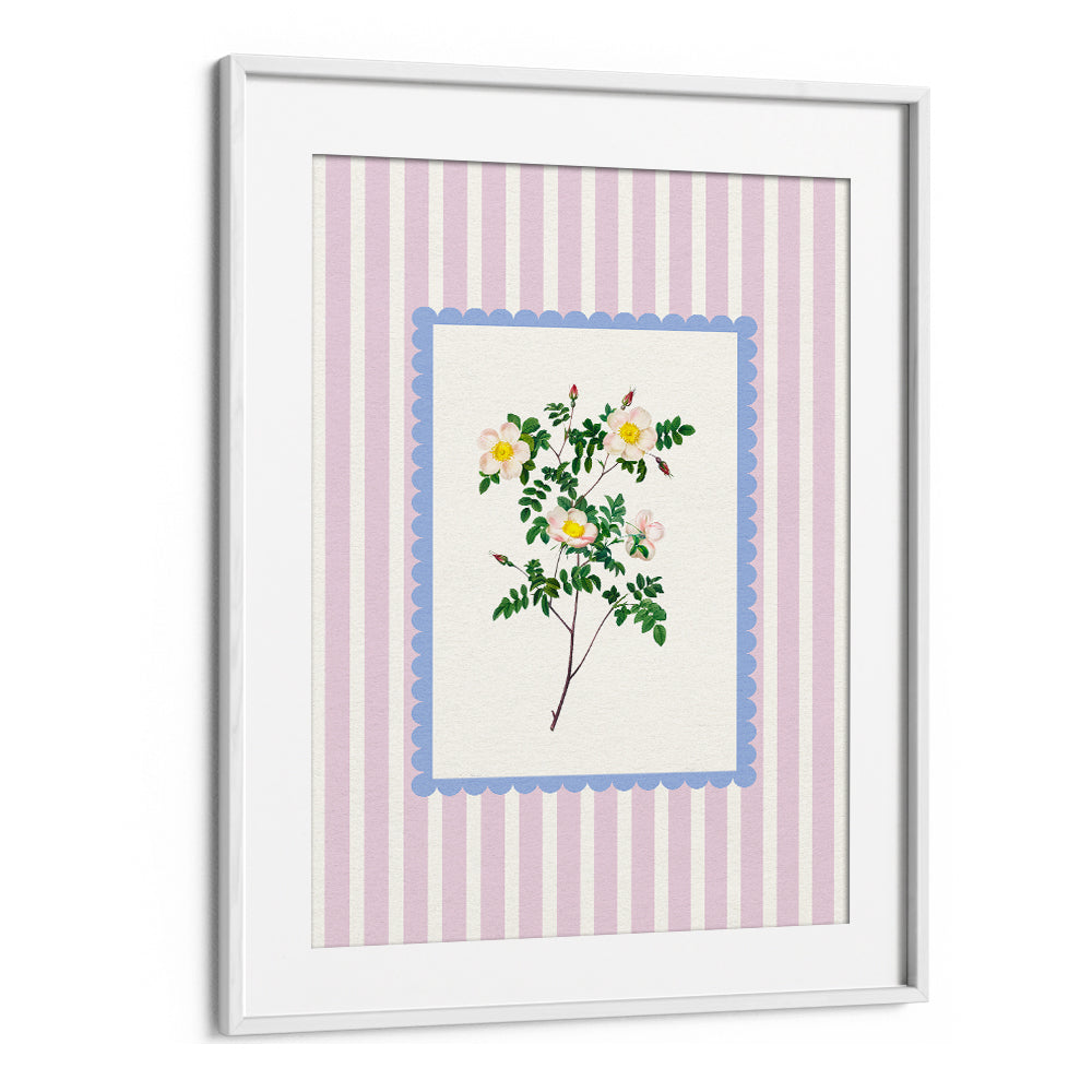 BLUSH WILD ROSE STUDY