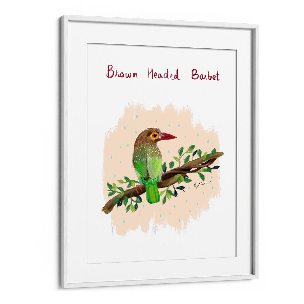 BROWN HEADED BARBET