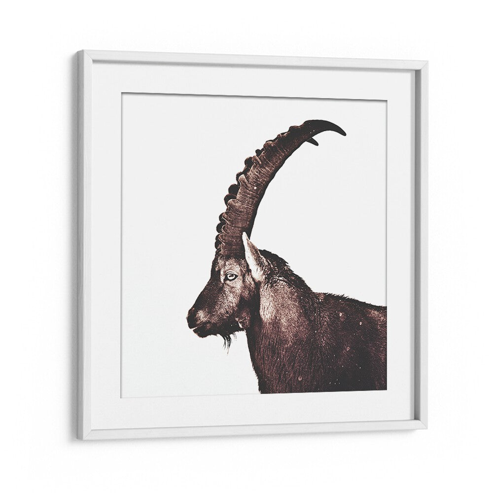 Majestic Capricorn in Snow, an animal painting showcasing wildlife beauty, perfect for nature lovers' decor.