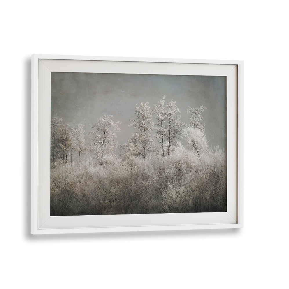 COLD MORNING , FLORAL FLOWER PAINTINGS