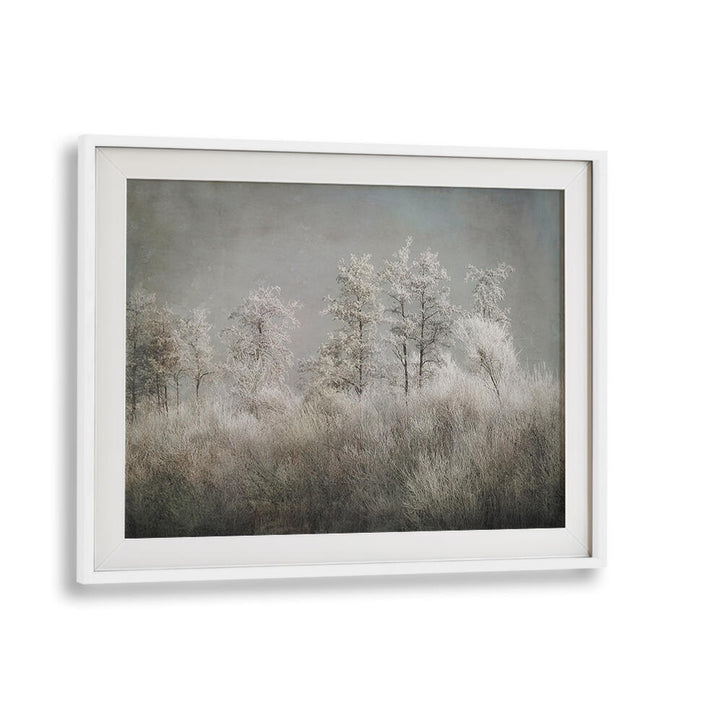 COLD MORNING , FLORAL FLOWER PAINTINGS