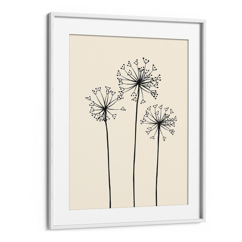 DANDELIONS V