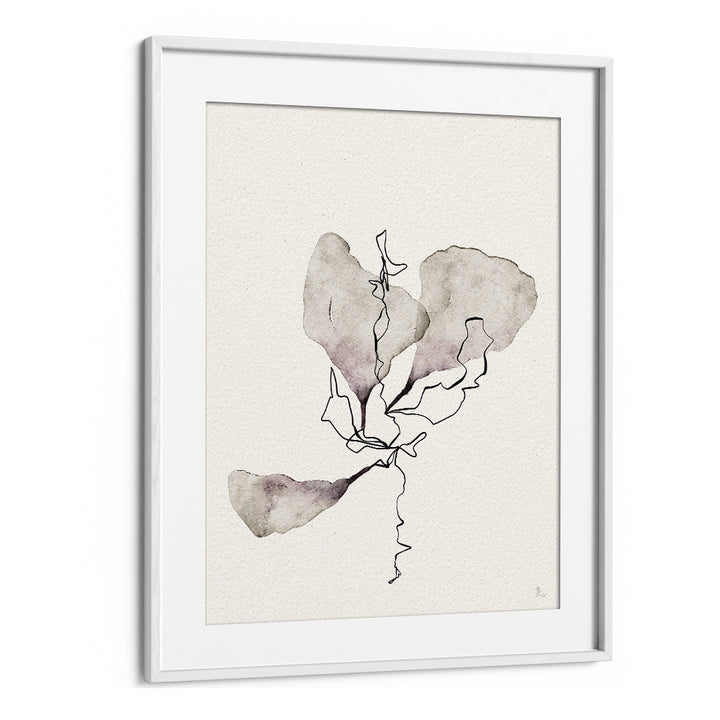 DELICATE BOTANICAL STUDY
